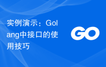 实例演示：Golang中接口的使用技巧
