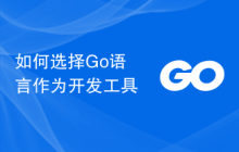 如何选择Go语言作为开发工具