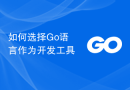 如何选择Go语言作为开发工具