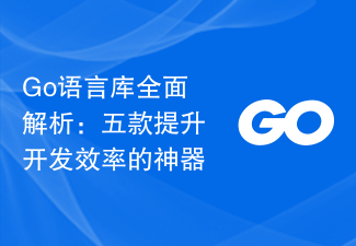 Go 언어 라이브러리에 대한 종합 분석: 개발 효율성을 향상시키는 5가지 아티팩트