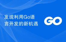 发现利用Go语言开发的新机遇