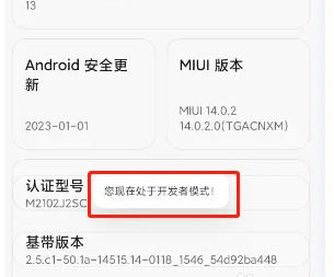 How to turn on developer mode on Xiaomi Mi 14 Ultra?