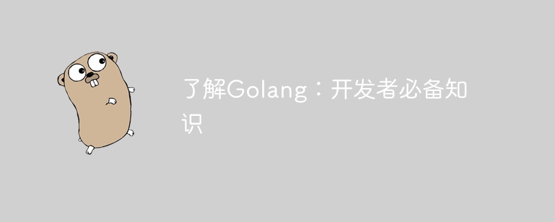 Golang を理解する: 開発者にとって必須の知識