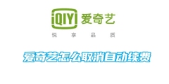 爱奇艺怎么取消自动续费
