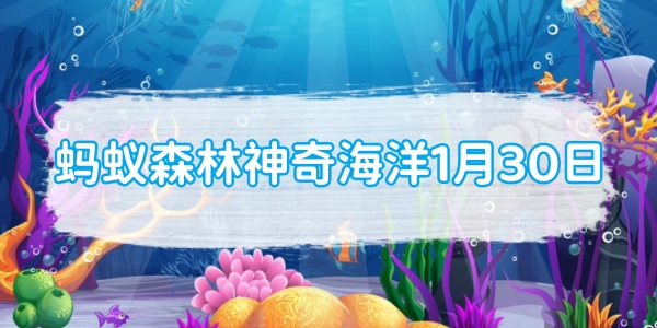 アリの森 マジック オーシャン 1 月 30 日: 次の海洋生物のうち、ボートや海洋設備の底によく付着して生息しているものはどれですか?