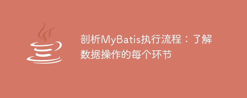 MyBatis 実行プロセスを分析: データ操作のあらゆる側面を理解する