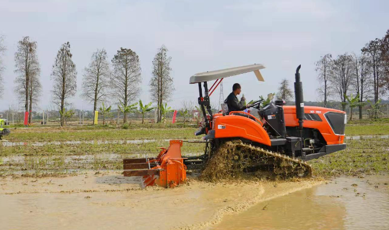 Ant Manor February 19th: Which of the following solar terms is called the plowing season?