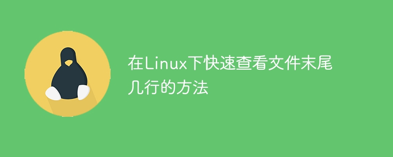 Linux에서 파일의 마지막 몇 줄을 빠르게 표시하는 방법