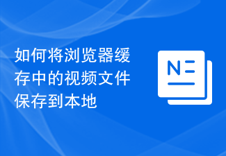 如何将浏览器缓存中的视频文件保存到本地