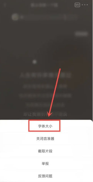 How to adjust the subtitles of National K-song