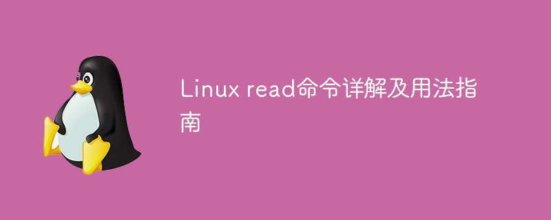 Linux read命令详解及用法指南