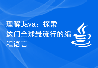理解Java：探索这门全球最流行的编程语言