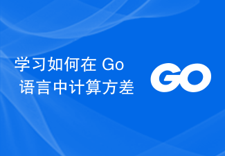 Go で分散を計(jì)算する方法を?qū)Wぶ