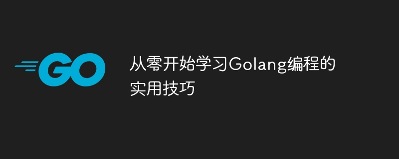 Golang 프로그래밍을 위한 실용적인 팁에 대한 초보자 가이드