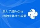深入了解PyCharm的字体大小设置