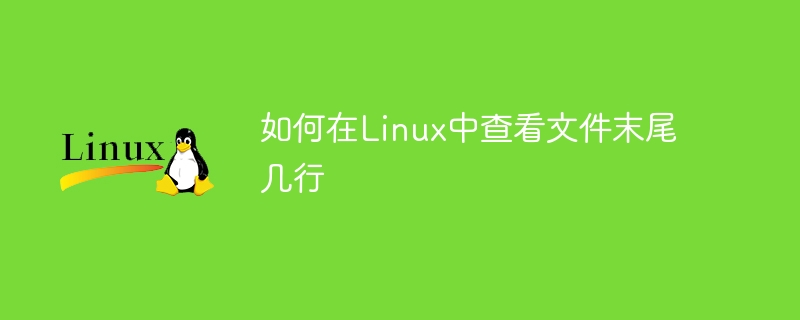 Comment vérifier le nombre de dernières lignes dun fichier sous Linux