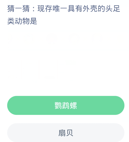 螞蟻森林神奇海洋1月17日：現存唯一有外殼的頭足類動物是