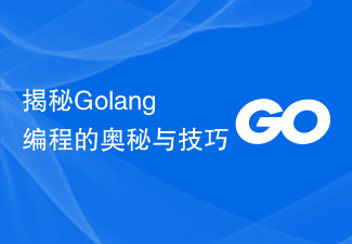 揭秘Golang编程的奥秘与技巧