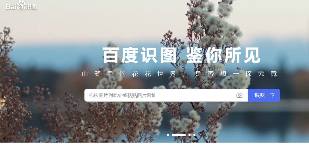 Baidu 画像認識オンライン ポータル