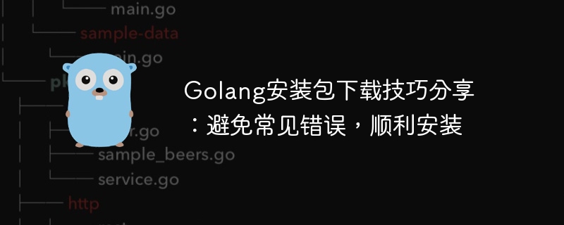 Installationsanleitung für Golang-Pakete: Vermeiden Sie häufige Fehler und sorgen Sie für einen reibungslosen Download und eine reibungslose Installation