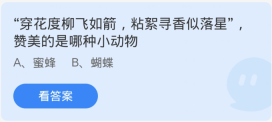 蚂蚁庄园1月13日：穿花度柳飞如箭粘絮寻香似落星赞美的是哪种小动物