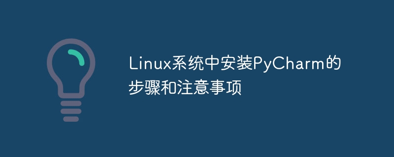 Methods and precautions for installing PyCharm under the Linux operating system