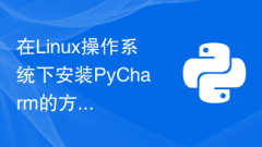 Methods and precautions for installing PyCharm under the Linux operating system