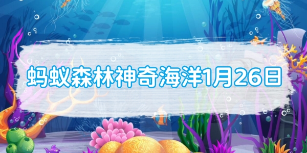 アリの森 マジックオーシャン 1月26日：航海士たちに幸運の鳥、航海鳥として讃えられる鳥は？