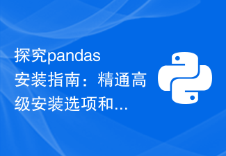 探究pandas安装指南：精通高级安装选项和定制化配置的窍门