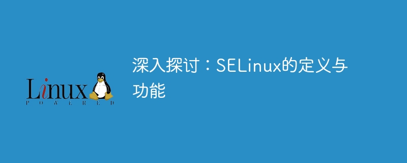 徹底した分析: SELinux の概念と役割