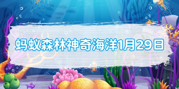 螞蟻森林神奇海洋1月29日：下列哪一種海洋魚類是白天睡覺晚上捕食