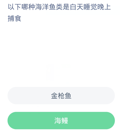 螞蟻森林神奇海洋1月29日：下列哪一種海洋魚類是白天睡覺晚上捕食