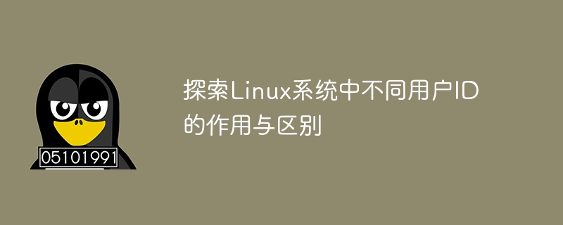 Explorez les fonctions et les différences des différents ID utilisateur dans les systèmes Linux