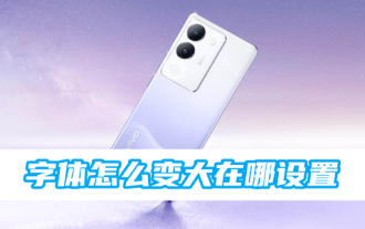 How to make vivo mobile phone font larger and where to set it