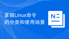 Maîtriser les scénarios de classification et d'utilisation des commandes Linux