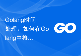 Golang 시간 처리: Golang에서 타임스탬프를 문자열로 변환하는 방법