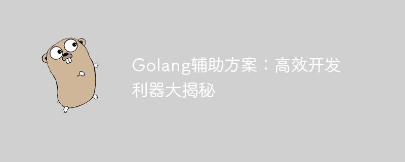 揭秘Golang開發的高效輔助方案