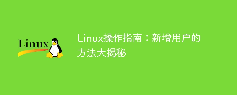 Linux 사용자 관리: 새로운 사용자 작업 공개