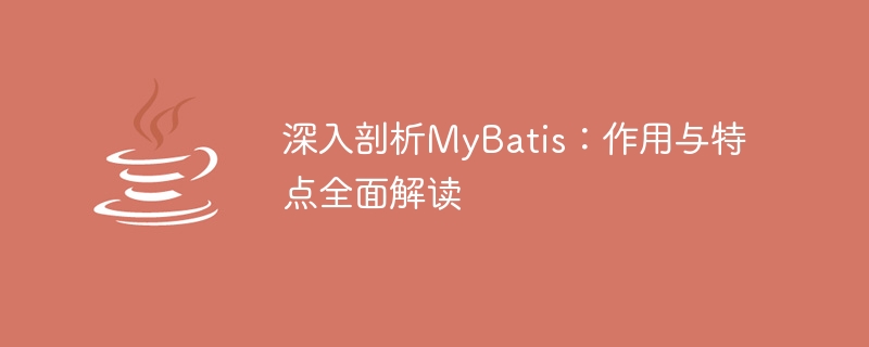 MyBatis의 종합적인 분석: 기능과 특징에 대한 자세한 논의