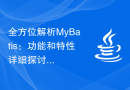 全方位解析MyBatis：功能和特性详细探讨