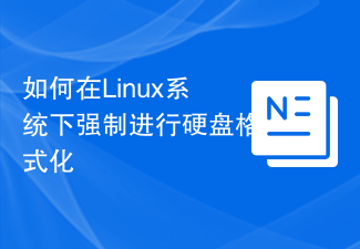 如何在Linux系統下強制進行硬碟格式化