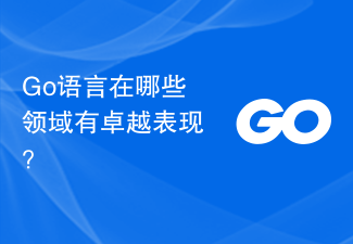 Go语言在哪些领域有卓越表现？