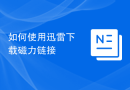 如何使用迅雷下载磁力链接