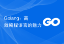 Golang：高效编程语言的魅力