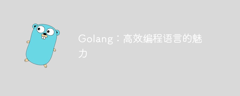 Golang: 효율적인 프로그래밍 언어의 매력