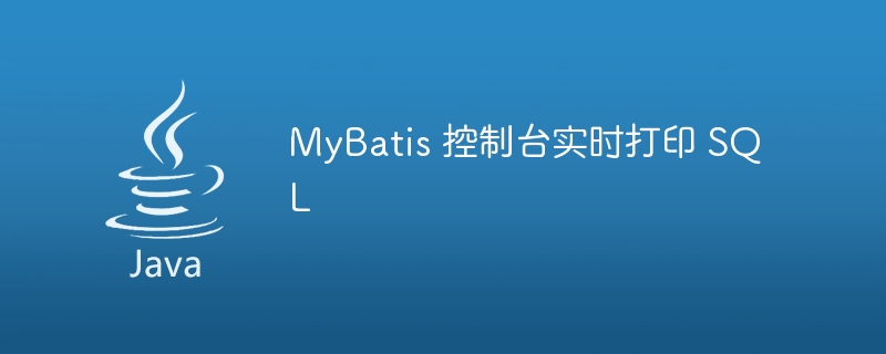 MyBatis 控制台实时打印 SQL