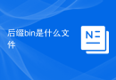 后缀bin是什么文件