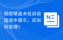 固态硬盘未在启动选项中显示，应如何处理？