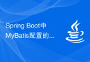 Spring Boot中MyBatis配置的最佳实践详解