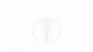 A new milestone in controllable nuclear fusion! AI successfully predicts plasma tearing in Nature, bringing the Holy Grail of clean energy one step closer